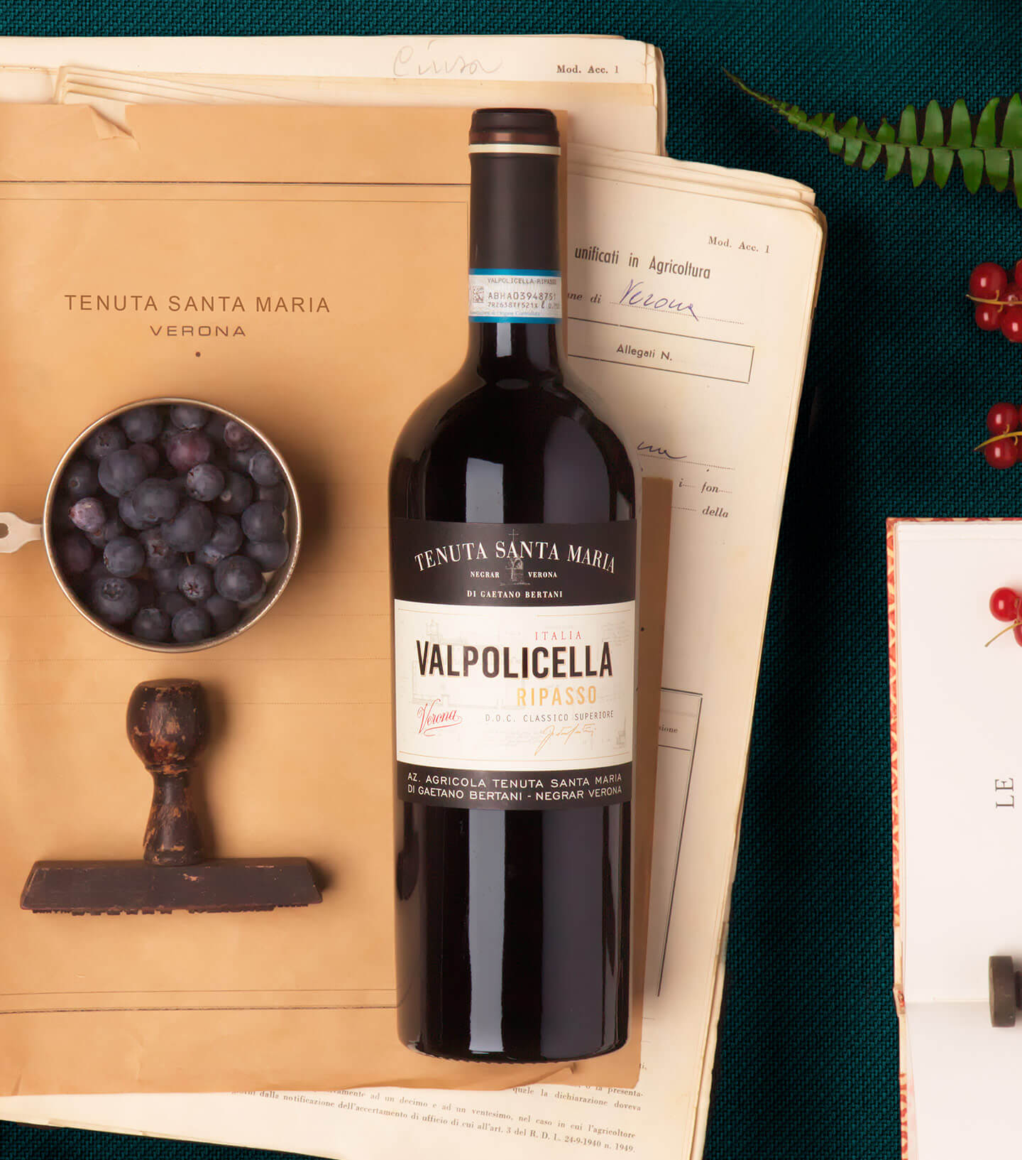 Valpolicella Ripasso Classico Doc - Tenuta Santa Maria di Gaetano Bertani