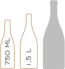 Tenuta-Santa-Maria-di-Gaetano-Bertani_Verona-Italia_bottles-2 Tenuta Santa Maria di Gaetano Bertani - Verona, Italia